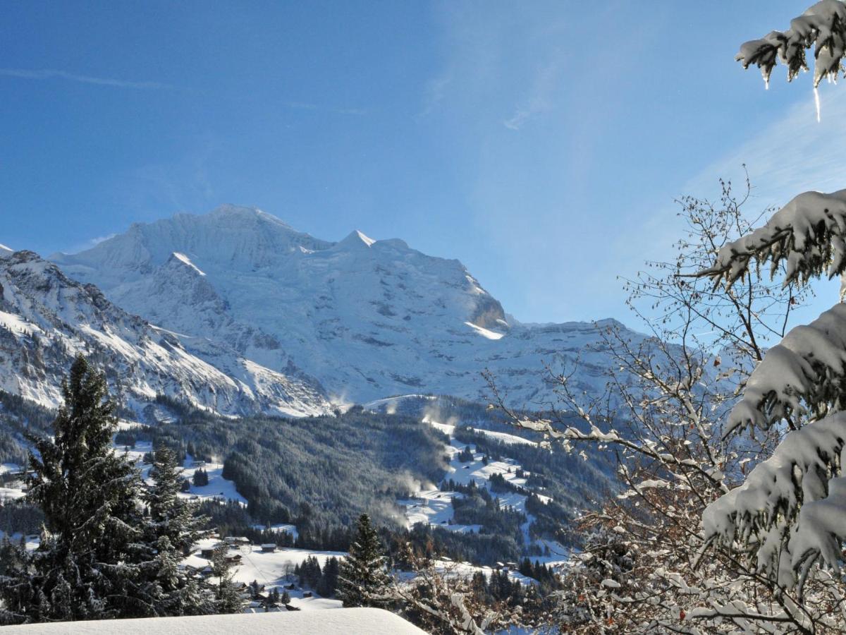 Apartment Roossihuus By Interhome Wengen Zewnętrze zdjęcie
